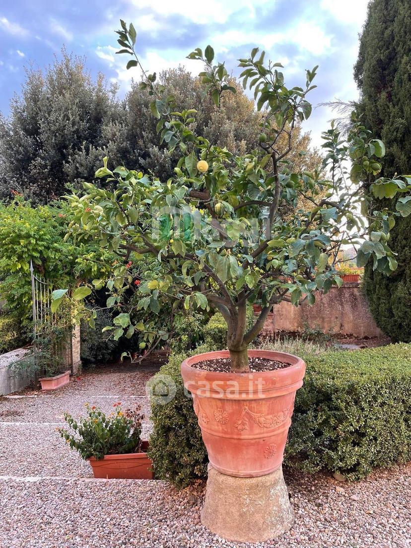 Villa in Strada di Scacciapensieri — foto 26 di 35