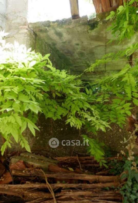 Appartamento in Viale Michelangelo Grigoletti 40 — foto 2 di 55