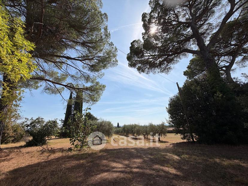 Villa in Strada Provinciale di Monteaperti — foto 17 di 54