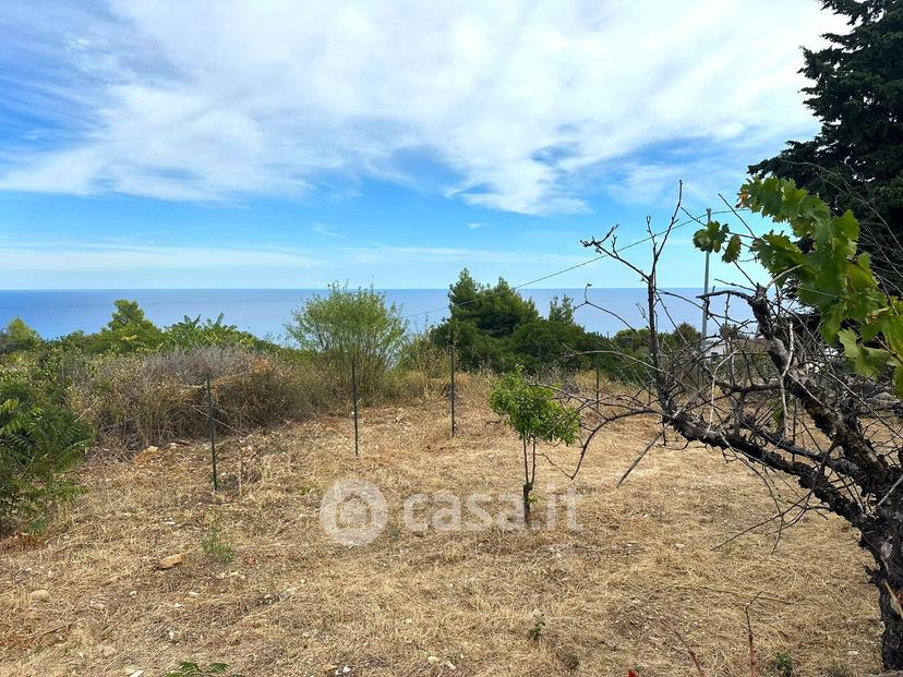 Villa in Località Frà Giuseppe 3 — foto 21 di 34