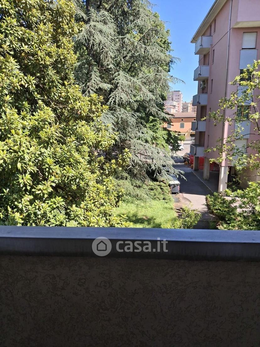 Quadrilocale in Via Pietro Isola — foto 22 di 23