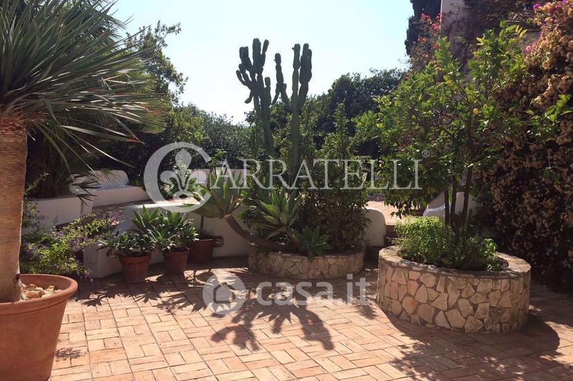 Villa in Via Vasca Moresca — foto 39 di 47