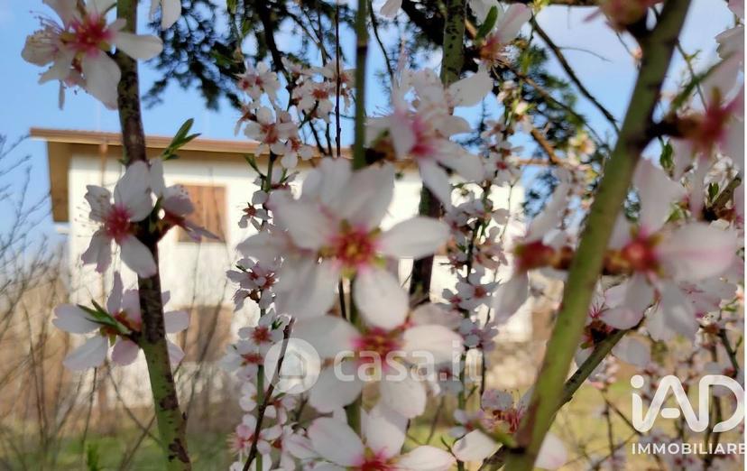 Villa in Strada Teze — foto 16 di 18