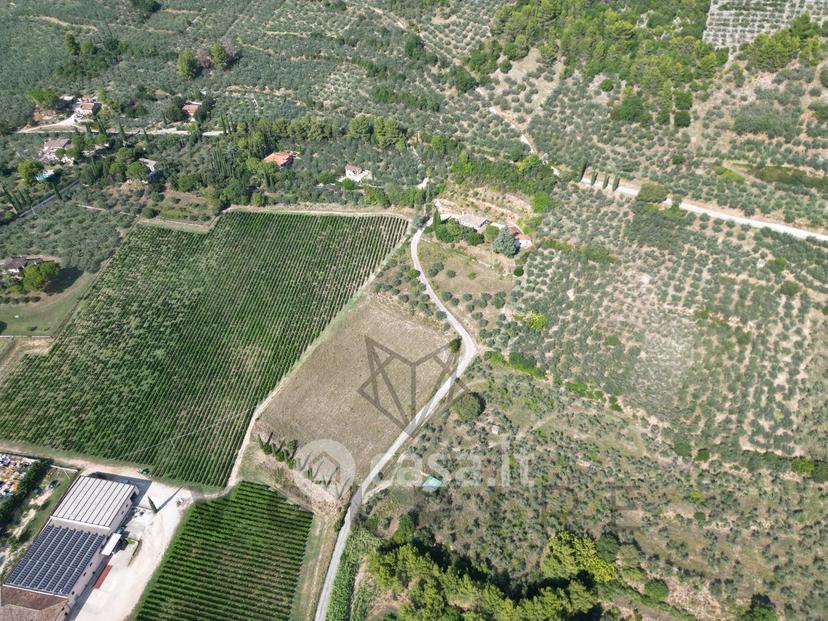 Villa in Via degli Ulivi — foto 17 di 20