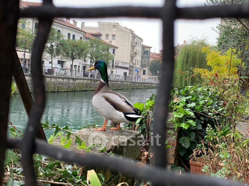 Appartamento in Via Ghirada 77 — foto 6 di 27
