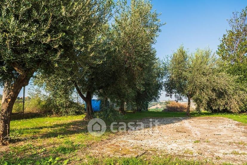 Villa in Località Rinaldi — foto 55 di 65