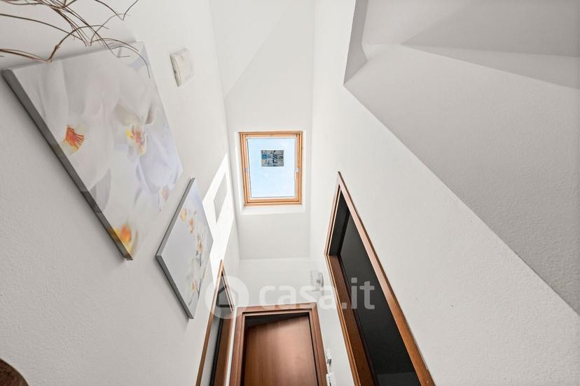 Appartamento in Via Tagliamento 10 — foto 17 di 25