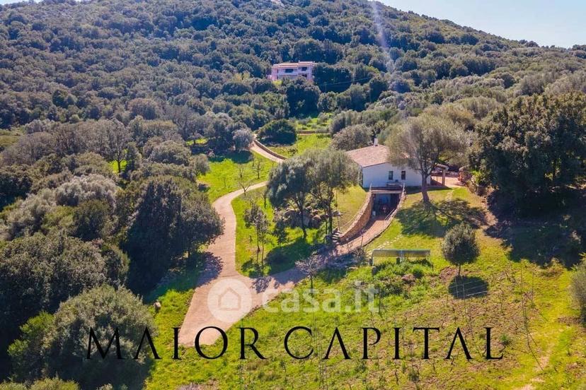 Villa in Via Paulu Calta — foto 17 di 47