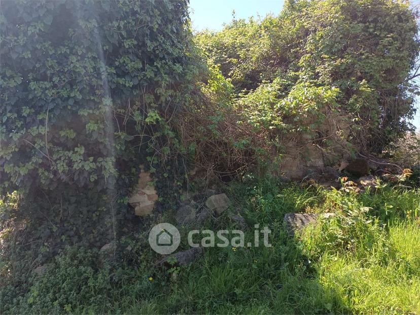 Villa in Via Torre Alfieri — foto 6 di 29