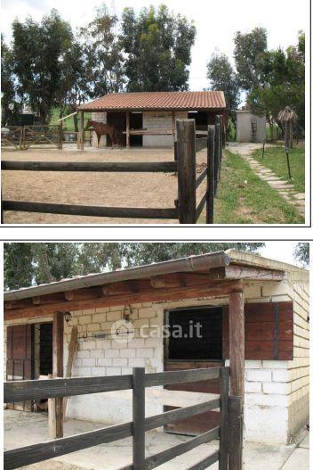 Villa in Viale Regina Margherita — foto 10 di 32