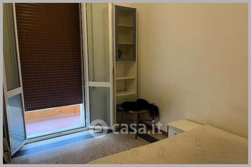 Trilocale in Via Dionisio Calvart — foto 19 di 33