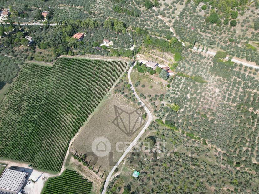 Villa in Via degli Ulivi — foto 18 di 20