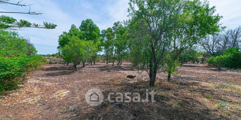 Villa in Strada Comunale Brindisi 6 — foto 45 di 54