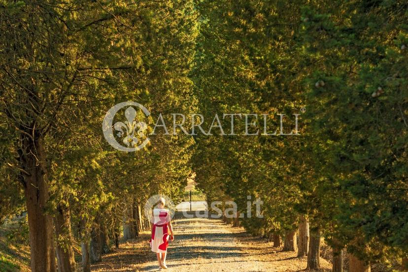 Villa in Località Sant'Alloro 52 — foto 48 di 58
