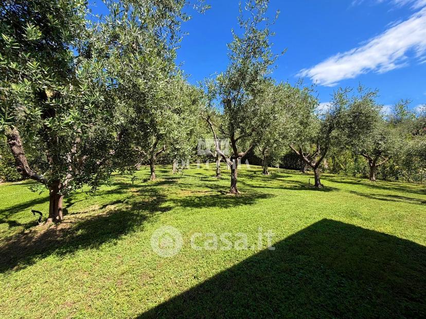 Villa in Via Castellana — foto 30 di 30