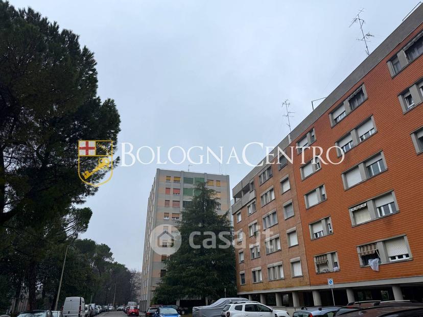 Appartamento in Via Alceste de Ambris — foto 26 di 34