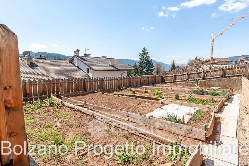 Appartamento in Via Weingartner — foto 8 di 37