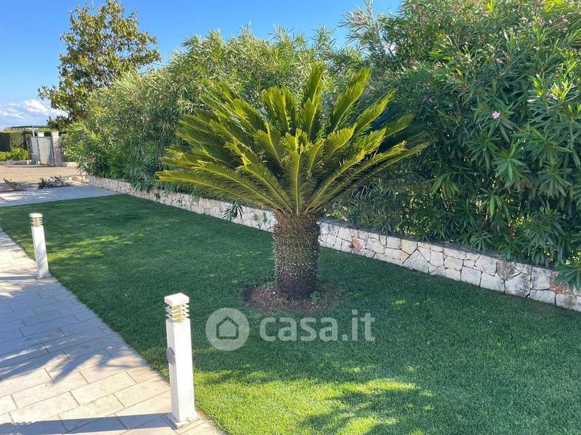 Villa in Contrada Salinola — foto 28 di 72
