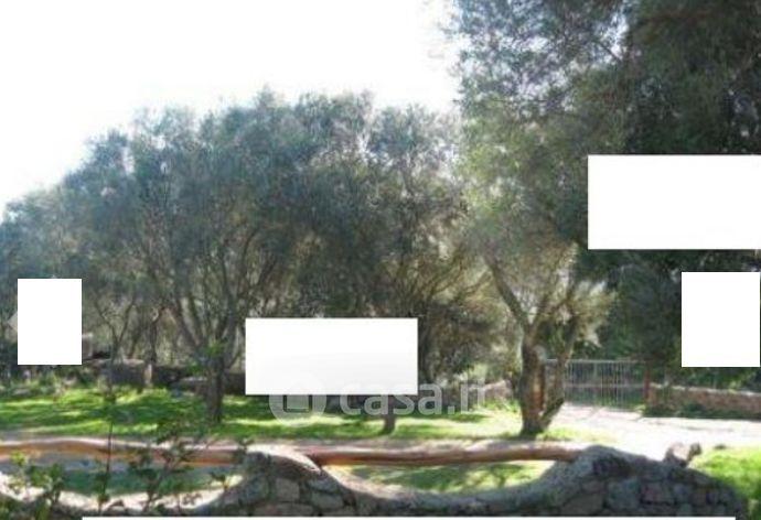 Villa in Via Macciunitta — foto 8 di 35