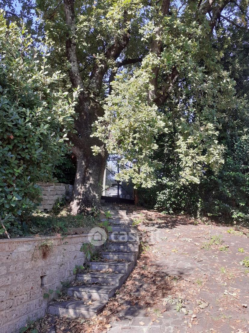 Villa in Via delle Viole — foto 6 di 27