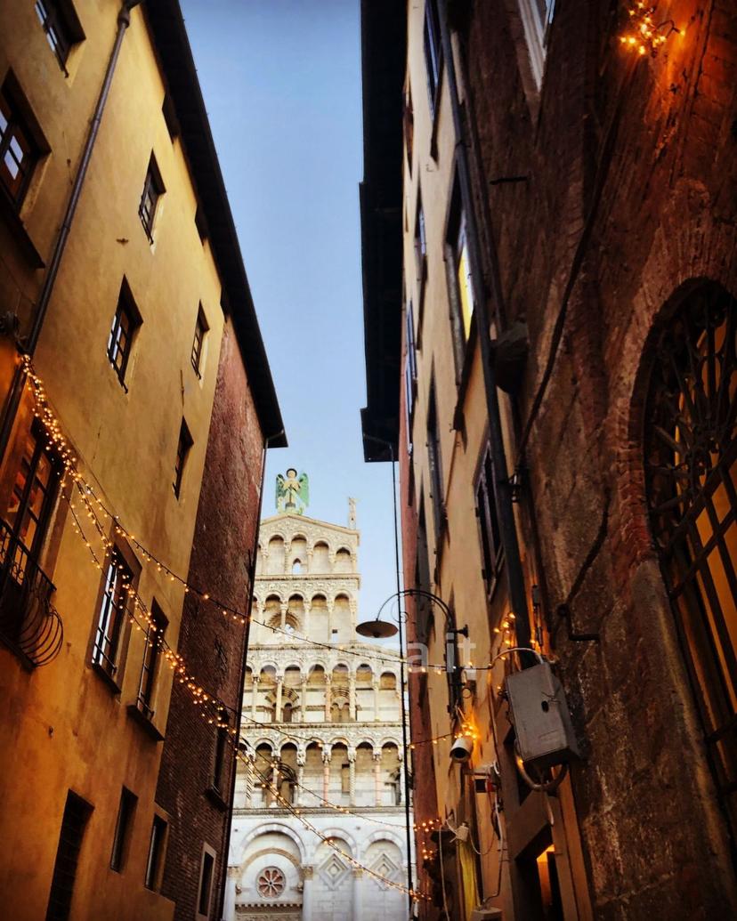 Appartamento in Via di Tiglio 548 — foto 13 di 16