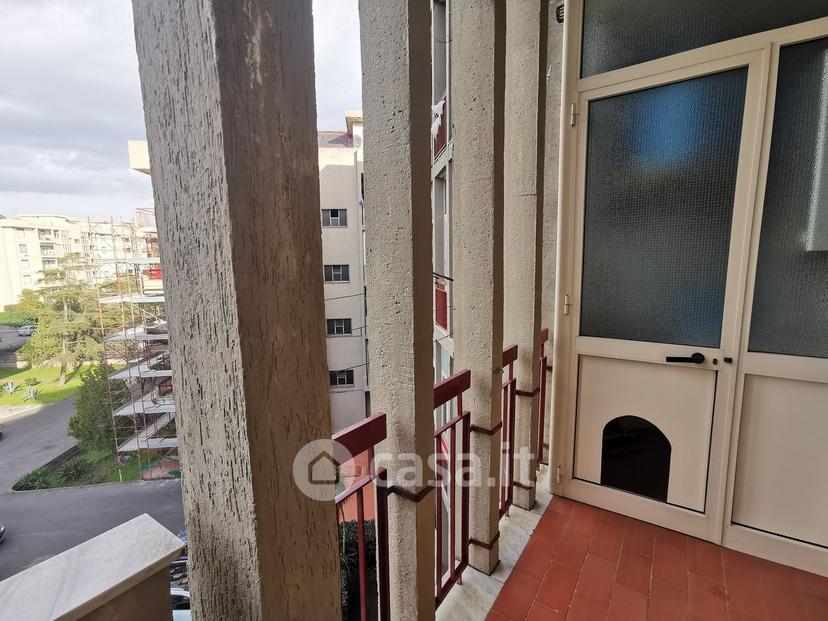 Trilocale in Via Rimini Roberto — foto 30 di 35
