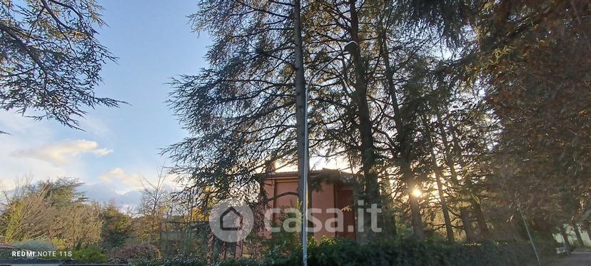 Villa in Via dei Cedri — foto 16 di 34