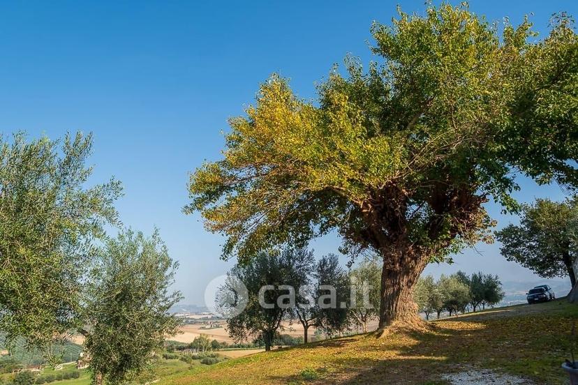 Villa in Località Rinaldi — foto 60 di 65