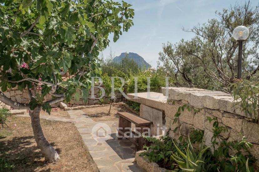 Villa in Via Marghine — foto 11 di 59