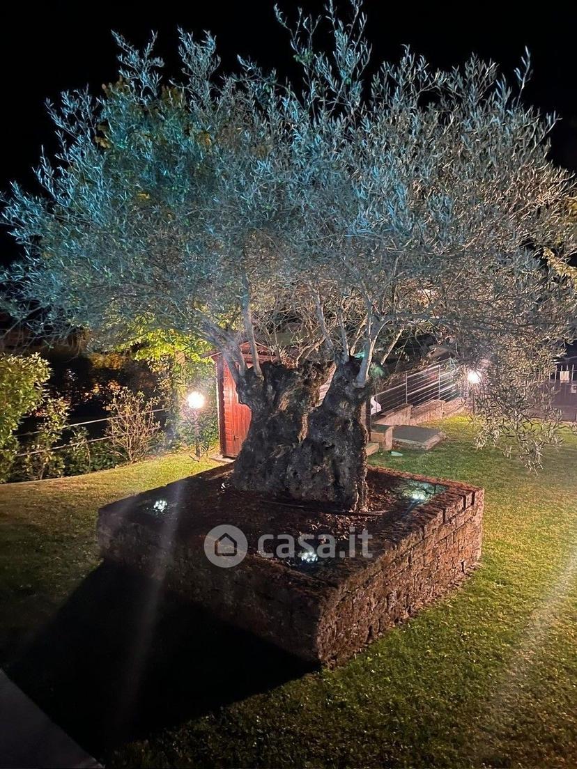 Villa in Viale degli Ibiscus 75 /a — foto 35 di 51