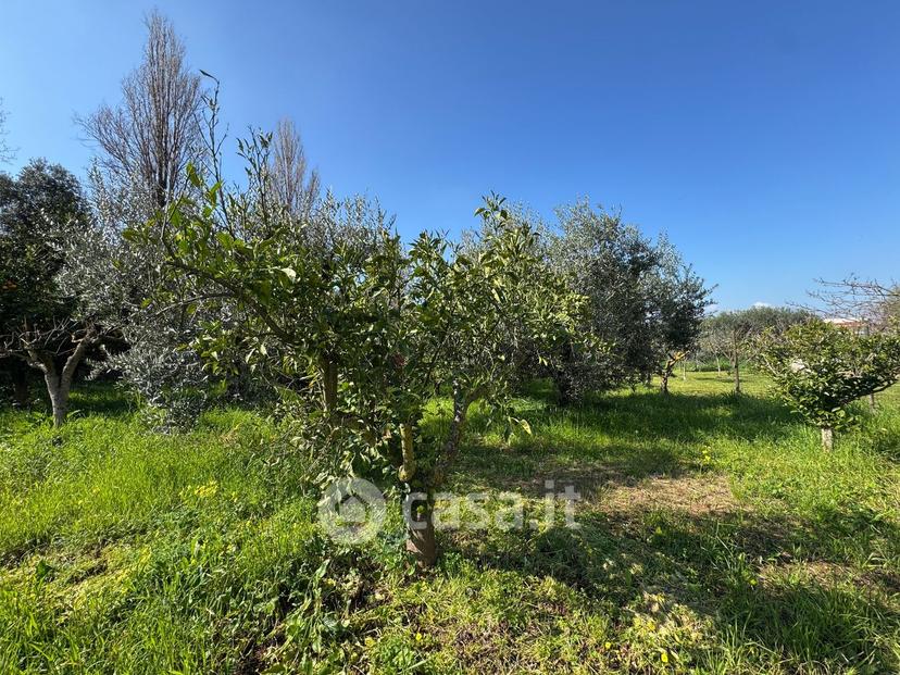 Villa in Via Appia Antica 57 — foto 60 di 77