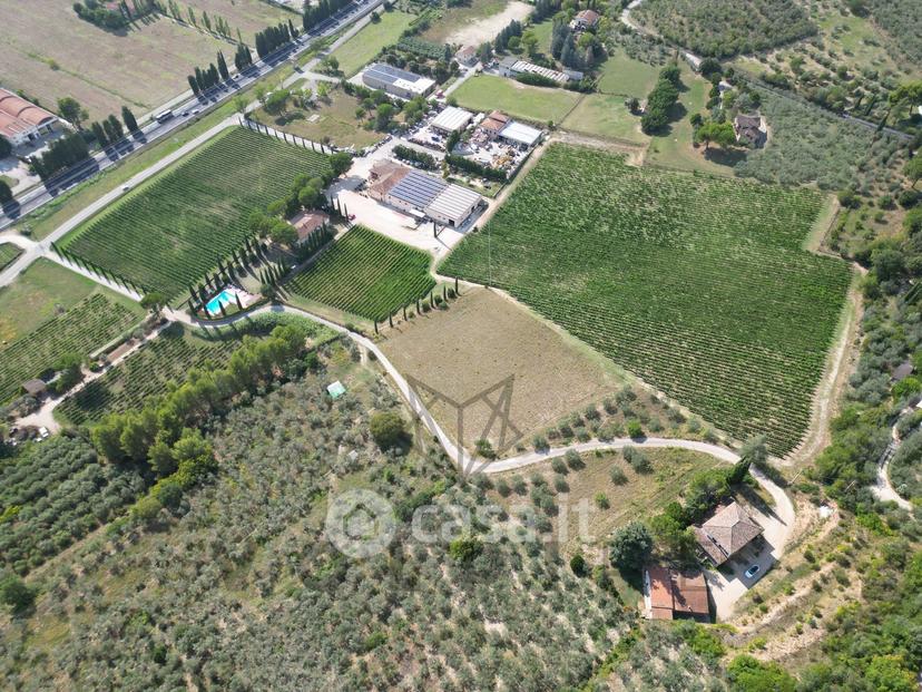 Villa in Via degli Ulivi — foto 10 di 20
