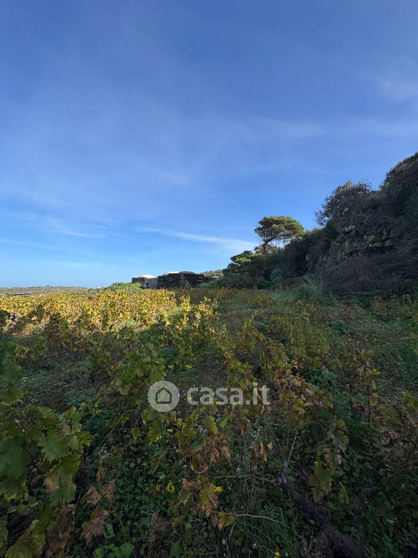 Villa in Via San Vito — foto 16 di 38