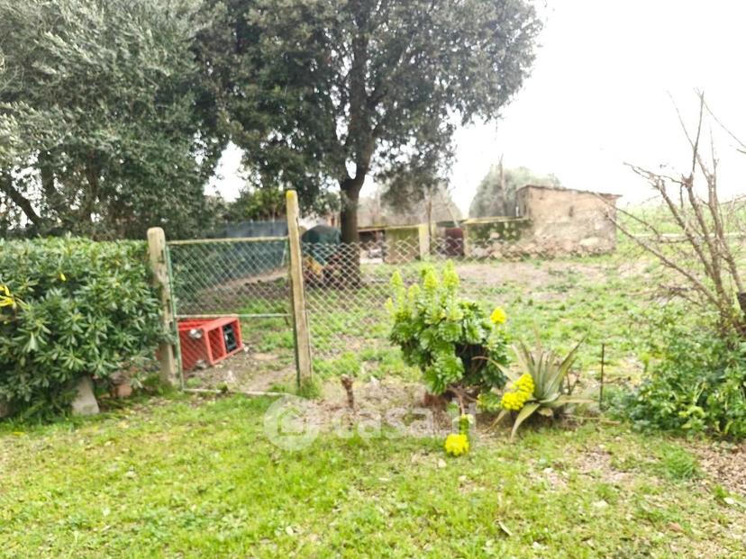Appartamento in Località La Sdriscia — foto 7 di 54