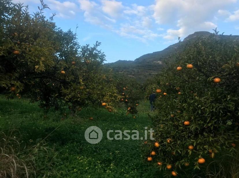 Appartamento in Corso Umberto I — foto 24 di 32