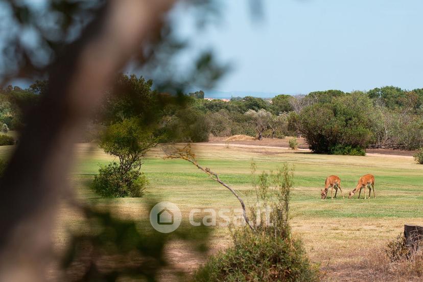 Quadrilocale in Località Is Molas — foto 12 di 35