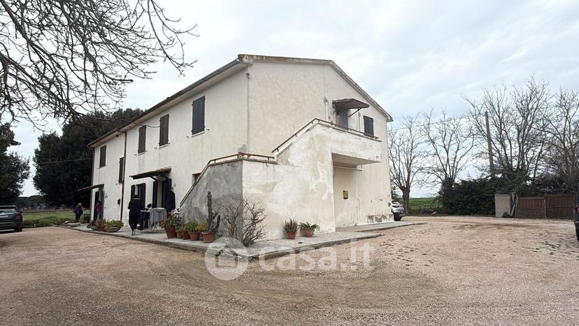 Quadrilocale in Strada Provinciale Litoranea — foto 3 di 8