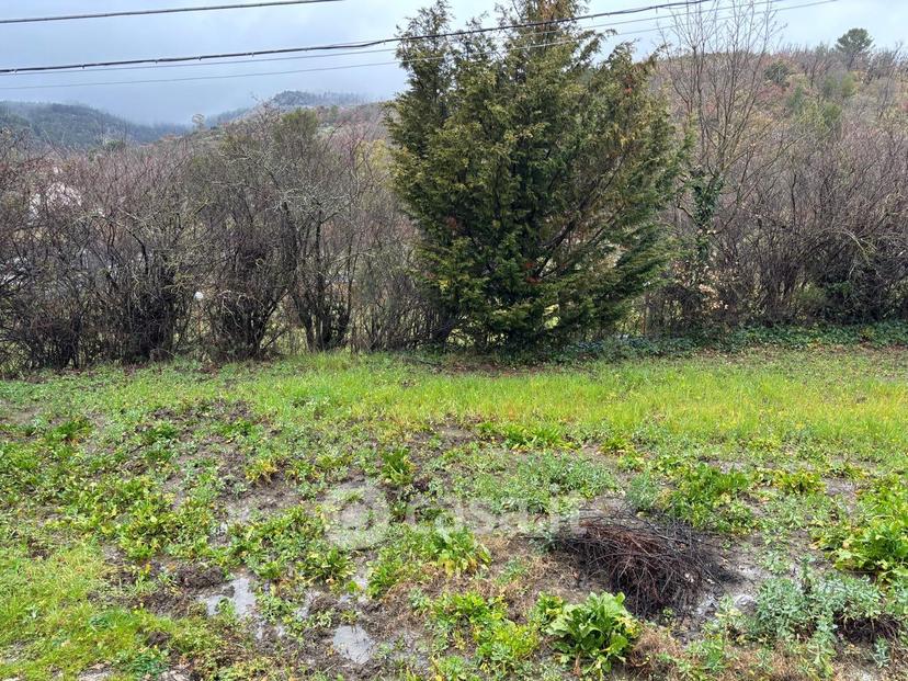 Villa in Contrada Dingoli — foto 18 di 36