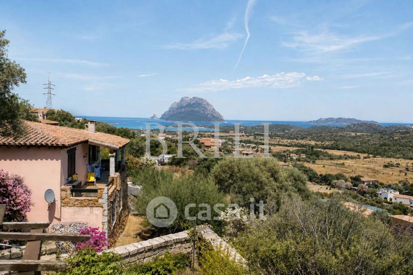 Villa in Via Marghine — foto 47 di 59