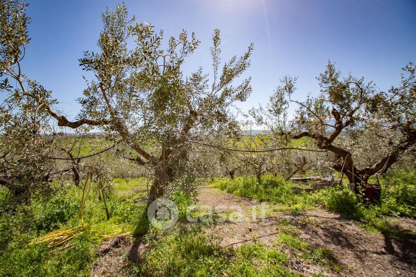 Villa in Contrada Astignano — foto 13 di 50
