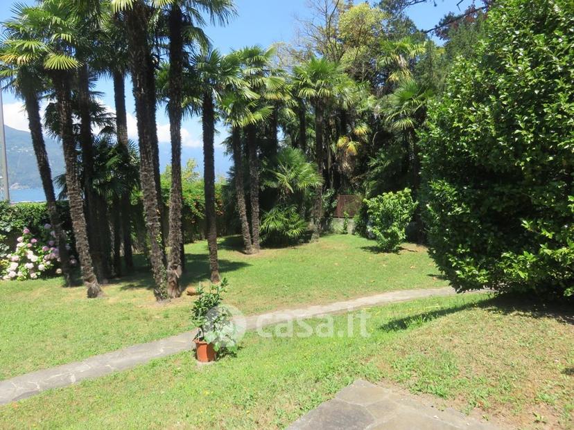 Quadrilocale in Viale Dante Alighieri 53 — foto 26 di 39