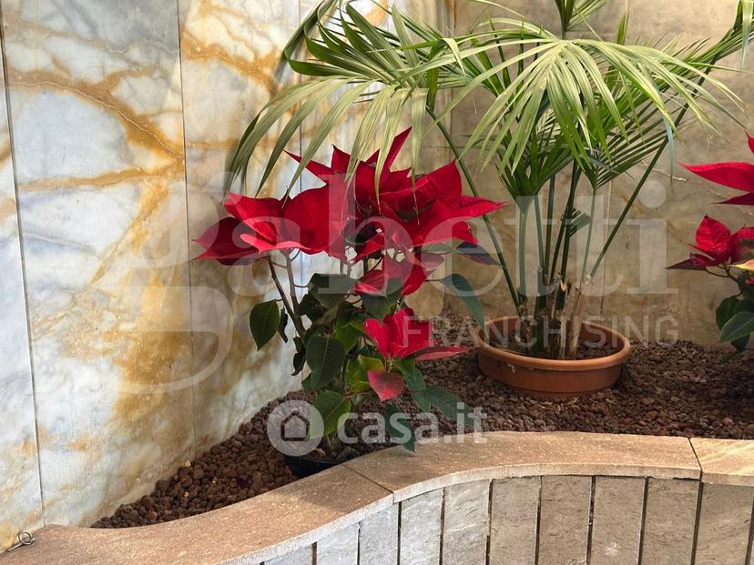 Appartamento in Viale Giosuè Carducci 11 — foto 19 di 40