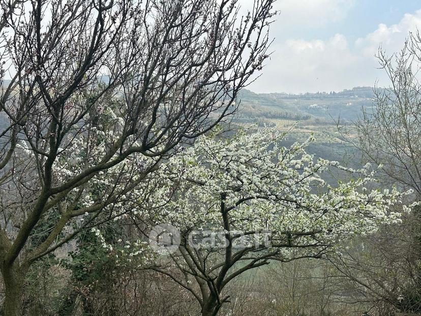 Villa in Via delle Fonti — foto 49 di 53
