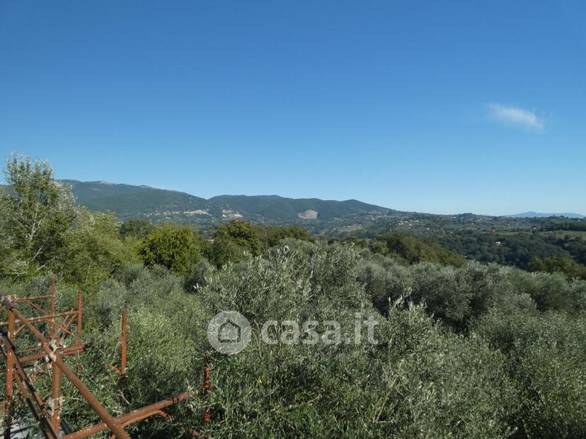 Villa in Strada Regionale 313 — foto 16 di 40