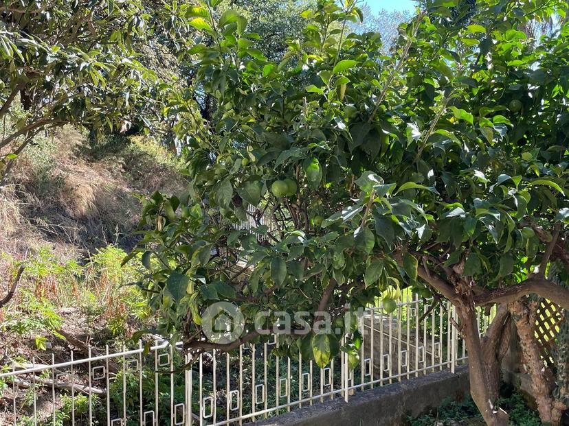 Appartamento in Viale degli Aranci 22 — foto 50 di 52