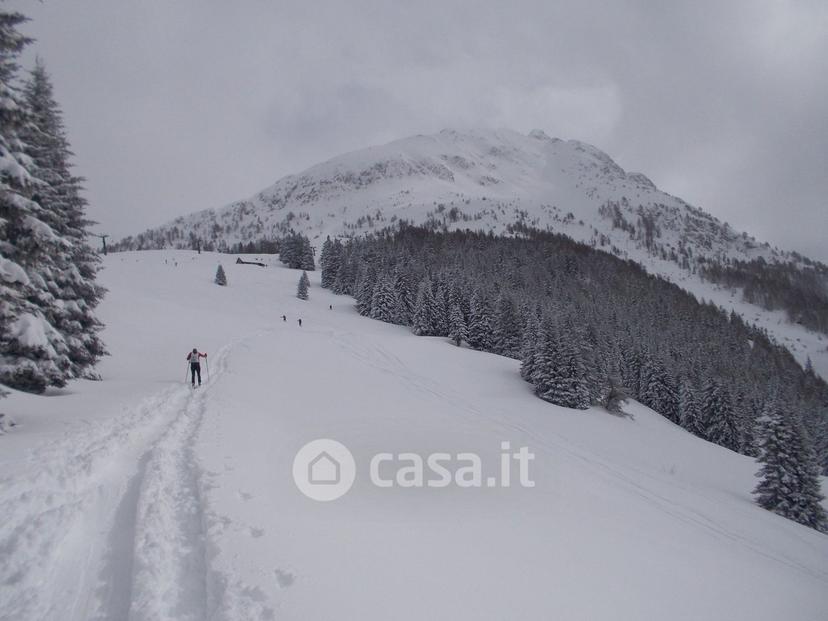 Trilocale in Via Europa 107 — foto 2 di 53