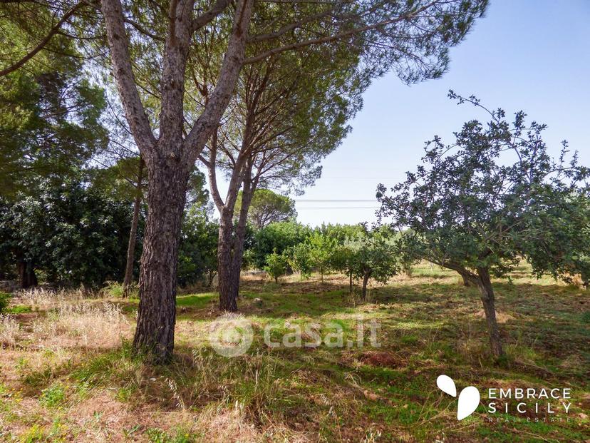 Villa in Villa Bibbia — foto 19 di 39