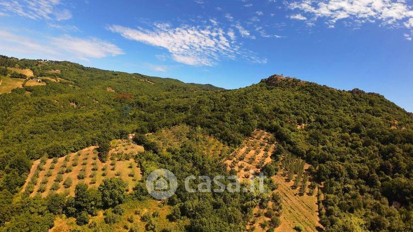 Villa in Strada delle Cerbaie — foto 46 di 63