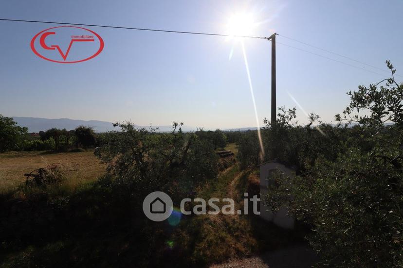 Villa in Via delle Muricce — foto 31 di 43