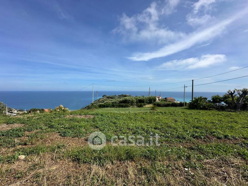 Villa in Via Colla — foto 3 di 33